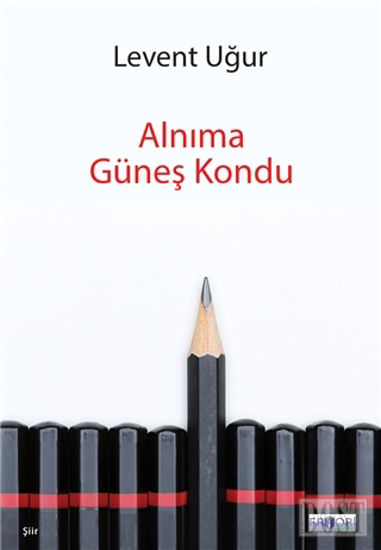 Alnıma Güneş Kondu